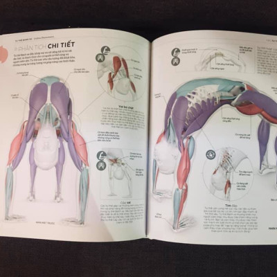 KHOA HỌC VỀ YOGA (Bìa cứng)