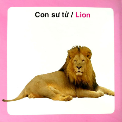 Từ Điển Hình Ảnh Cho Bé - Động Vật Hoang Dã