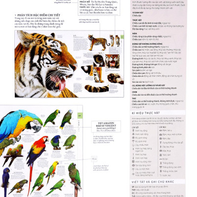 Lịch Sử Tự Nhiên