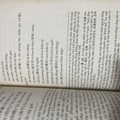 Khảo Cứu Từ Điển Song Ngữ Hán Việt Nhật Dụng Thường Đàm