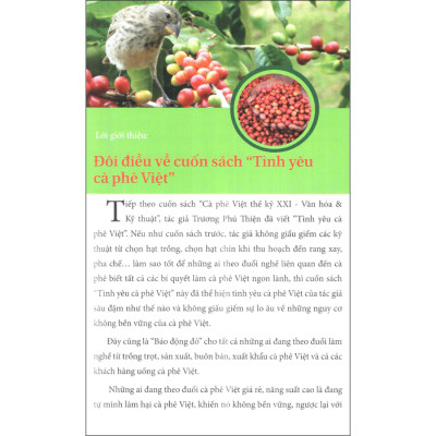 Tình Yêu Với Cà Phê Việt - Bí Quyết Trở Thành Chuyên Gia Cà Phê