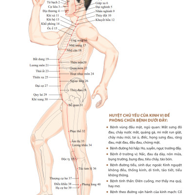 Đồ Giải Kinh Lạc Huyệt Vị Cơ Thể (Tái Bản 2023)