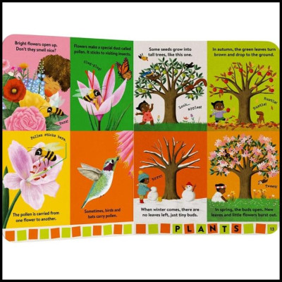 Bách khoa toàn thư cho trẻ từ 0-3 tuổi tiếng Anh: Baby