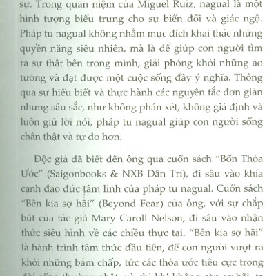 Bên Kia Sợ Hãi - Truyền Thống Tâm Linh Của Người Toltec Về Giấc Mơ, Quán Niệm Và Tự Do - Don Miguel Ruiz; Hà Thuỷ Nguyên dịch