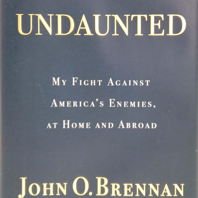 Undaunted: My Fight Against America