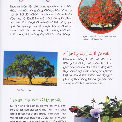 Thiên Nhiên- Những Bí Mật Còn Ẩn Giấu - Gia Đình Thực Vật - 2HBooks