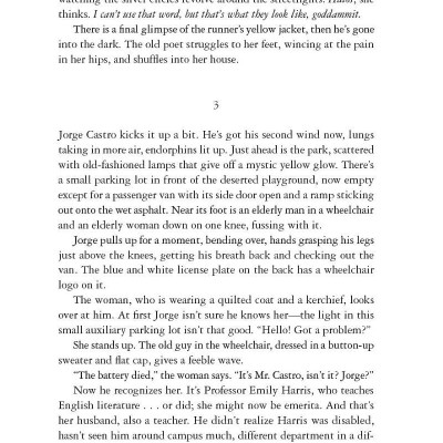 Holly - Stephen King