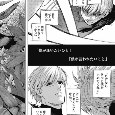 Tokyo Ghoul: re 8 (Japanese Edition)