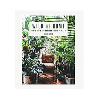 Wild At Home: How To Style And Care For Beautiful Plants