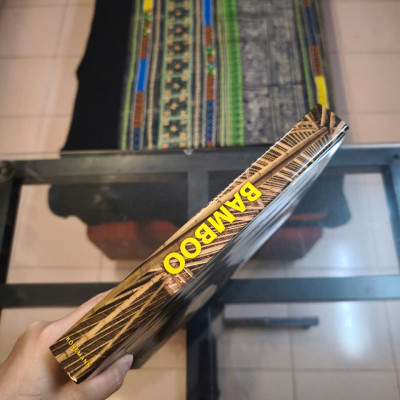 Sách - Bamboo (Contemporary Architecture & Interiors) by Simone Schleifer - Art/ Design In English