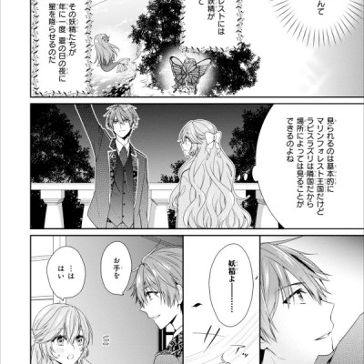 Akuyaku Reijo Wa Ringoku No Otaishi Ni Dekiai Sareru 2 (Japanese Edition)