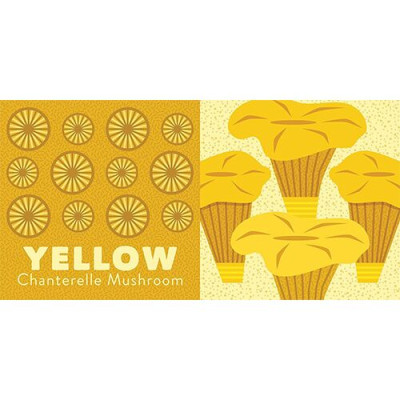 Colors of The Pacific Northwest