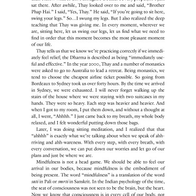 One Buddha Is Not Enough: A Story Of Collective Awakening