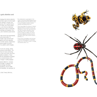 Universal Principles Of Design,Completely  Updated And Expanded