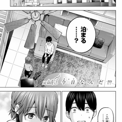 A Couple Of Cuckoos 17 (Japanese Edition)