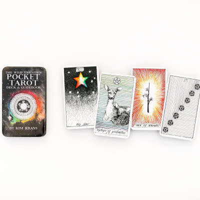 The Wild Unknown Pocket Tarot