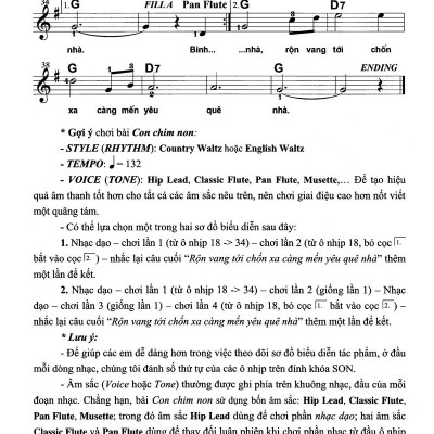 Thực Hành Biểu Diễn Organ Cho Thiếu Nhi – Tập 2