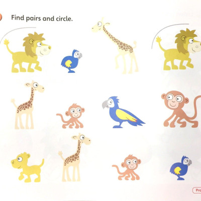 Combo Super Safari Level 3: Pupil