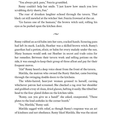 The Five Crowns Of Okrith 1: The High Mountain Court