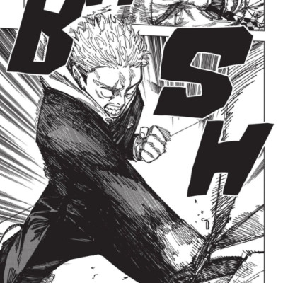 Jujutsu Kaisen 19 (English Edition)