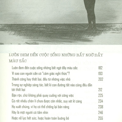 Không Nỗ Lực Đừng Tham Vọng (Kim chỉ nam dành cho bạn trẻ) (Tái bản năm 2023)