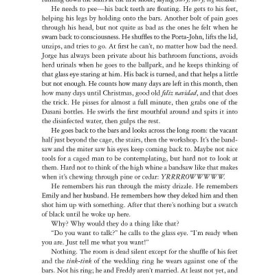 Holly - Stephen King