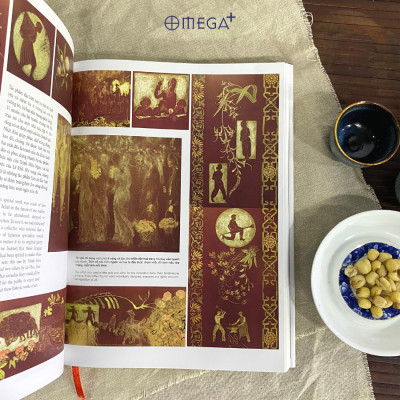 (Bìa cứng, in màu toàn bộ) HỌA SỸ TRỊNH HỮU NGỌC - Di sản đặc biệt của Mỹ thuật Đông Dương - Trịnh Lữ - Omega plus - NXB Mỹ Thuật 