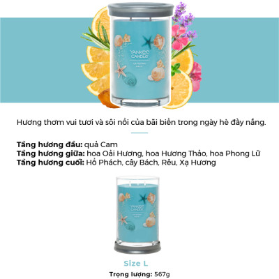 Nến ly tròn sáp đậu nành Yankee Candle size L (567g) - Catching Rays