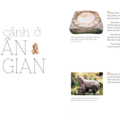 Nghệ Thuật Việt Nam - Bìa Cứng