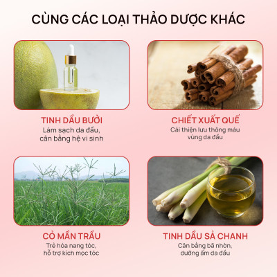Combo 2 Dầu gội thảo dược Fresh Shampoo giảm rụng tóc, giảm gàu, nuôi dưỡng tóc mềm mượt và chắc khỏe từ gốc