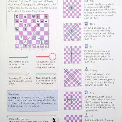 Cờ Vua - Những Bước Đi Đầu Của Kiện Tướng (2022)