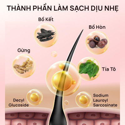 Combo 2 Dầu gội thảo dược Fresh Shampoo giảm rụng tóc, giảm gàu, nuôi dưỡng tóc mềm mượt và chắc khỏe từ gốc