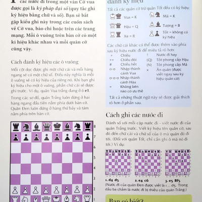 Cờ Vua - Những Bước Đi Đầu Của Kiện Tướng (2022)