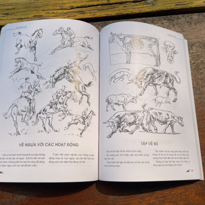 (Minh họa màu) BÁCH KHOA TOÀN THƯ THỰC HÀNH HỘI HỌA – Jean Arestein – Trịnh Phương Thảo dịch – VanLangBooks – NXB Thanh Hóa (bìa mềm)