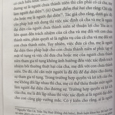 Người Đại Diện Của Dương Sự Trong Pháp Luật Tố Tụng Dân Sự Việt Nam