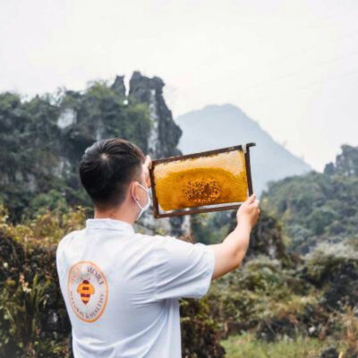 Combo Mật ong nguyên chất Hoa Miền Núi Honimore 630g/chai tặng 1 chai mật ong Hoa Vải Thiều 360g/chai - tăng sức đề kháng