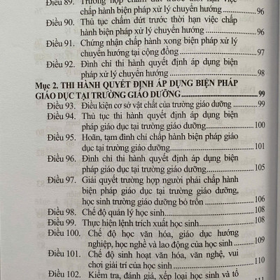 Luật Tư Pháp Người Chưa Thành Niên