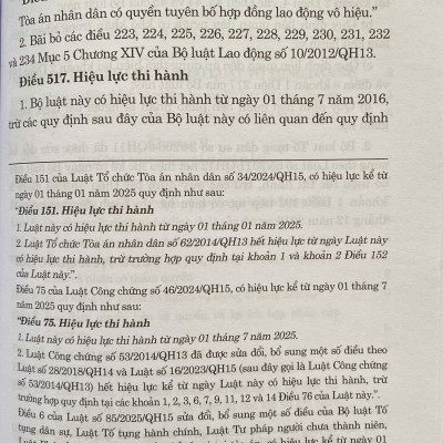 Bộ Luật Tố Tụng Dân Sự ( Sửa Đổi, Bổ Sung Năm 2025)