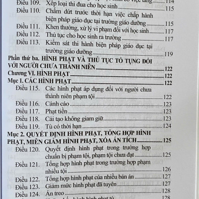 Luật Tư Pháp Người Chưa Thành Niên