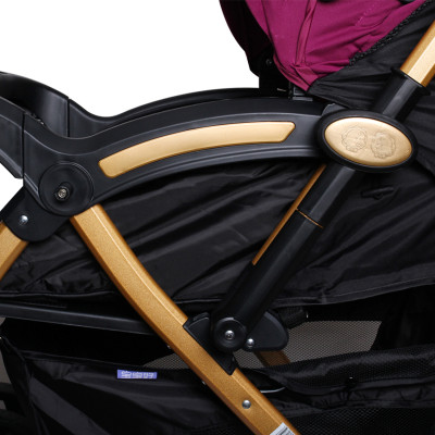 Xe Đẩy Trẻ Em 2 Chiều Baobaohao C8-112 - Tím