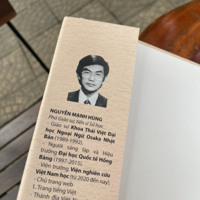 KÝ HỌA VIỆT NAM ĐẦU THẾ KỶ 20 (tái bản 2022) – Nguyễn Mạnh Hùng - NXB Thế Giới