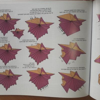 Nghệ thuật Gấp giấy Cổ điển - Mẫu gấp Con vật Cơ bản - Phạm Đình Tuyển - Kèm giấy gấp