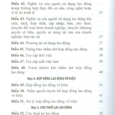 Bộ Luật Lao Động Và Văn Bản Hướng Dẫn Thi Hành