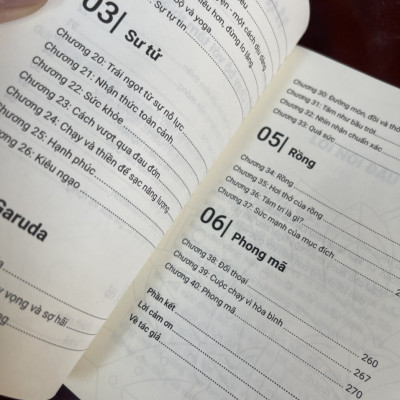 THIỀN TRONG CHUYỂN ĐỘNG - Sakyong Mipham- Lâm Đức Duy dịch – 1980 Books  – Thanh Niên