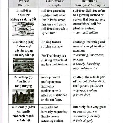 Tuyệt Chiêu Tăng Điểm Ielts Reading - Kho Từ Vựng Paraphrase Giỏi