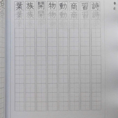 SÁCH TIẾNG NHẬT LUYỆN VIẾT KANJI VÀ TỪ VỰNG TIẾNG NHẬT