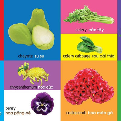 101 Từ Đầu Tiên: Thực Vật (Tái Bản 2021)