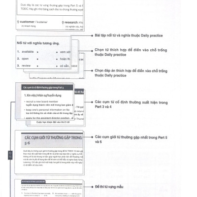 Toeic Vocab Basic - 1000 Từ Vựng Cơ Bản Kèm Bài Tập Dành Cho Người Mới Bắt Đầu (Tái Bản 2023)