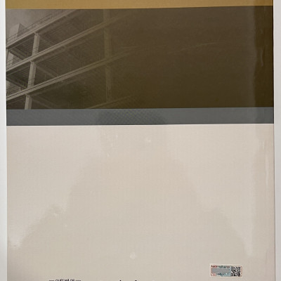 Sách - Thiết Kế Hệ Dầm Sàn Kết Cấu Thép Theo Tiêu Chuẩn Việt Nam Và Châu Âu EUROCODE