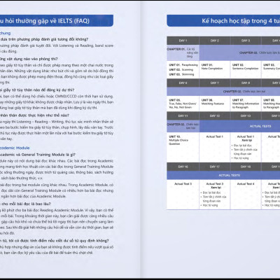 Pagoda IELTS Reading